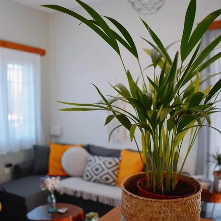 Elia's House Traditional & Cozy By 8essentially Feriehus Kalyves
